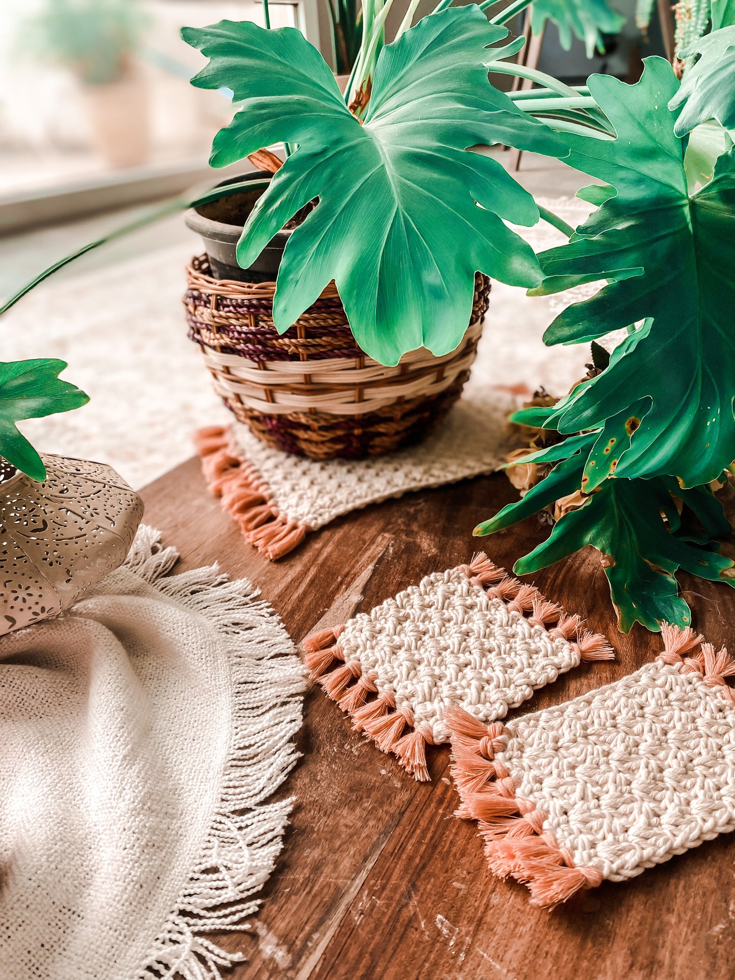 Cozy Tea Mug & Plant Rug Set