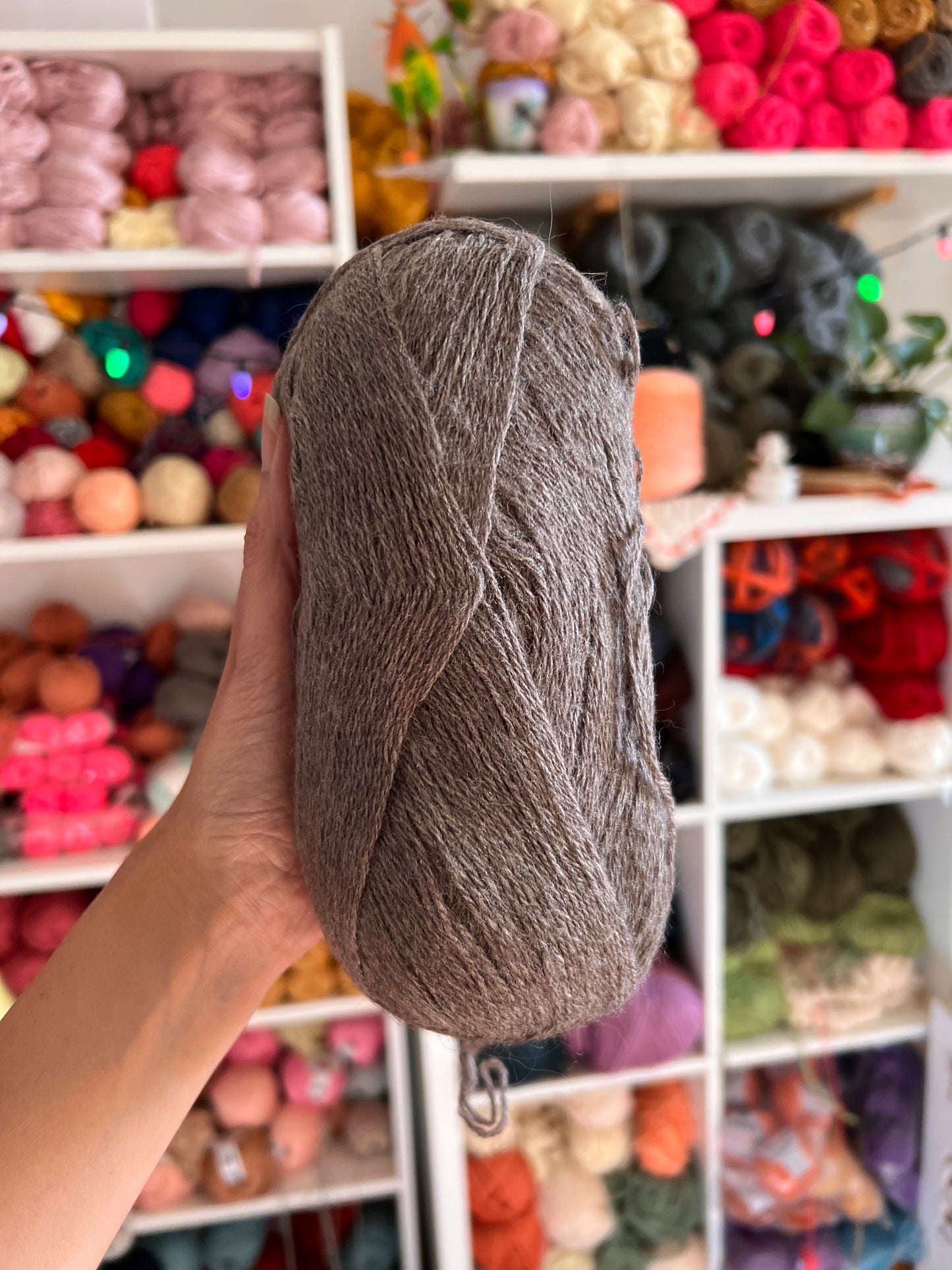 Softy Wool